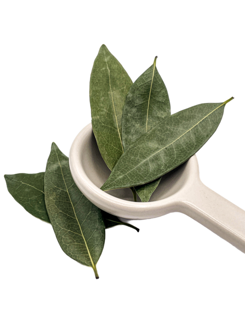 California Bay Leaves