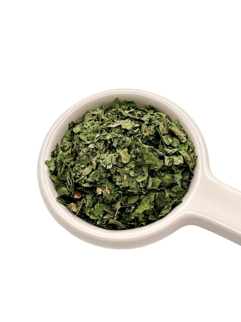 Cilantro