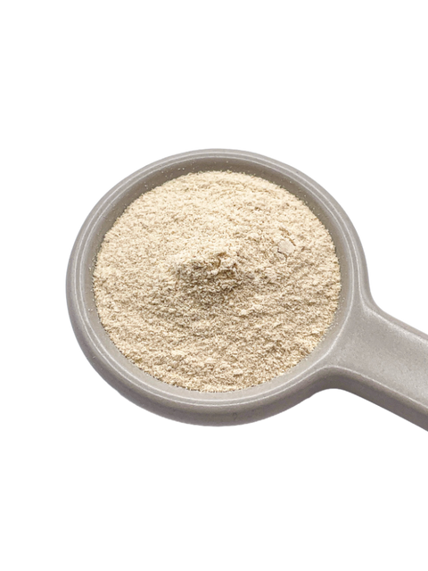 Garlic Powder