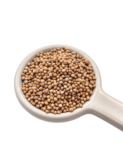 Yellow Mustard Seeds